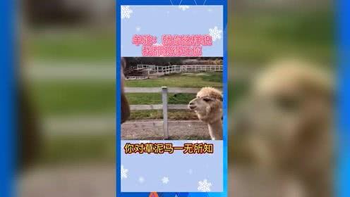 吃瓜群众娱乐素材,吃瓜群众揭秘明星幕后故事